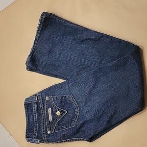 Hudson, Size 25, Signature Bootcut Petite, Vintage - Great Used Condition.